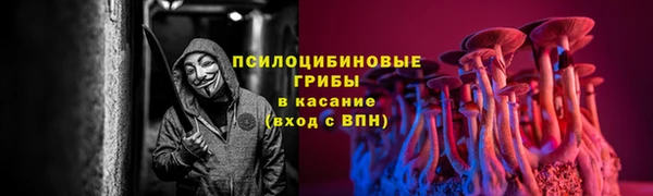 соль ск Сосновка