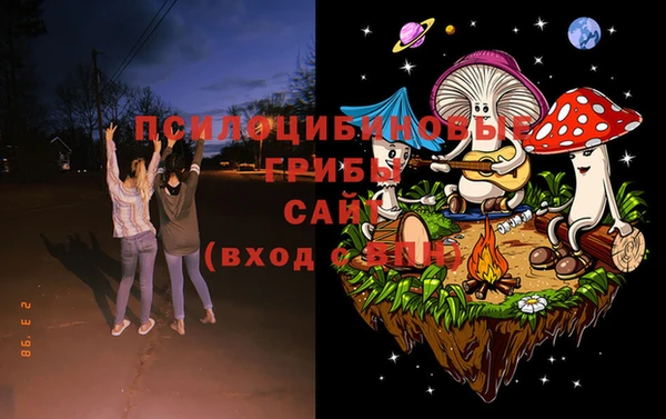 прущие грибы Белокуриха