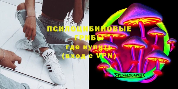 молекула духа Балахна