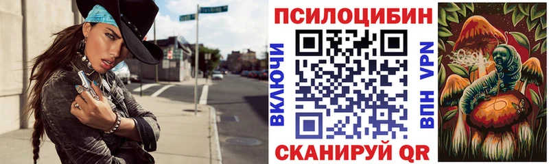 Галлюциногенные грибы GOLDEN TEACHER  Гаврилов-Ям 