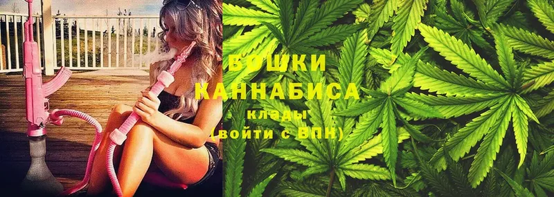 сколько стоит  Гаврилов-Ям  МАРИХУАНА Ganja 